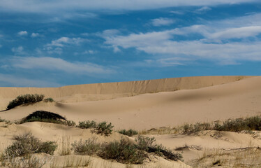 dunes in the desert