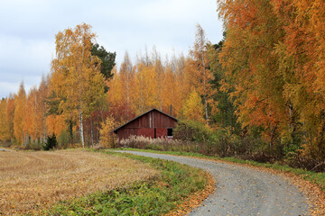 Country road through fields and woodland with autumnal colors
