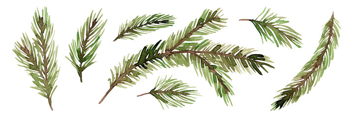 Watercolor set of fir branches isolated on a white background. Twigs of a Christmas tree. New Year.