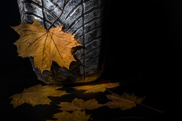 autumn leaves on car tire