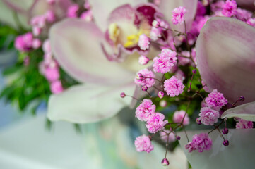 Close-up of very small pink flowers on a blurred background