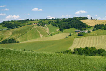 Rural landscape near Sala Baganza and Torrechiara, Parma, at springtime