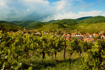 Fototapeta na wymiar Alsace village in summertime