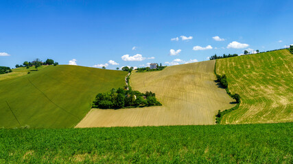 Rural landscape near Sala Baganza and Torrechiara, Parma, at springtime
