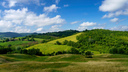 Naklejka na ściany i meble Rural landscape near Salsomaggiore, Parma, at springtime