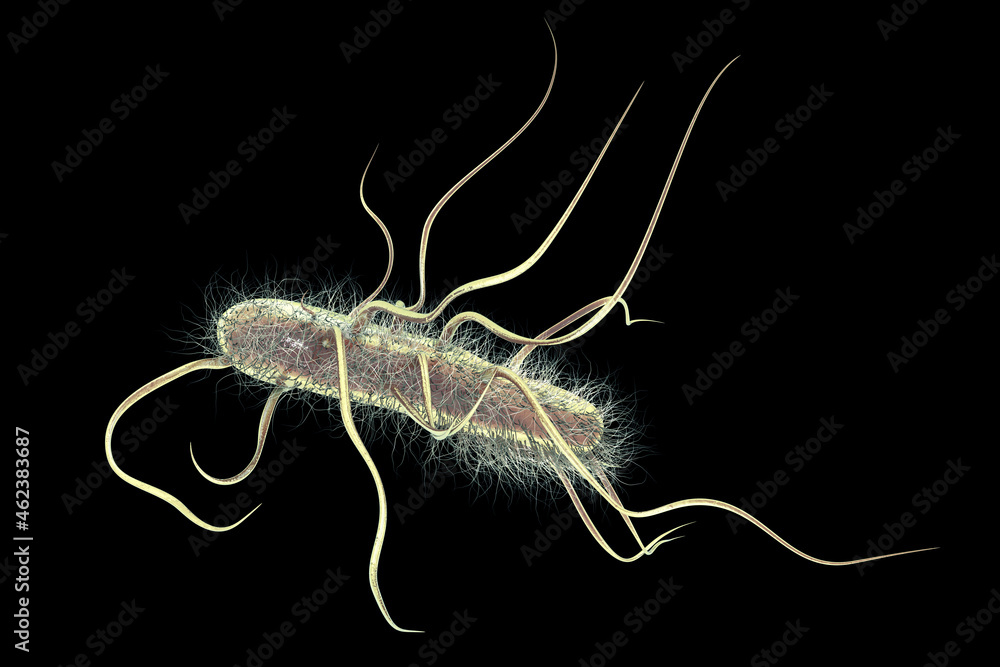 Sticker Escherichia coli bacteria, 3D illustration