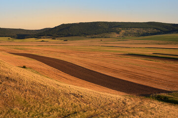 Fototapeta na wymiar View Of Yellow And Green Fields in Macin, Romania