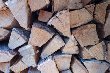 Photography on theme big wall of stacked oak tree logs