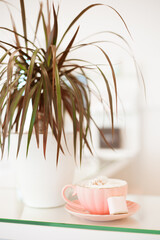 A cup of cappuccino for a client in a beauty salon