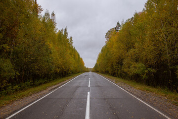 Autumn track on the border of the Khanty-Mansiysk Autonomous Okrug and the Sverdlovsk Region in Russia. A beautiful road in the fall between the Khanty-Mansi Autonomous Okrug and the Sverdlovsk Region