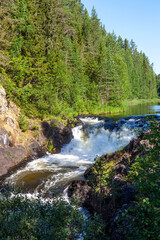 Waterfall "Kivach". Suna River. Republic of Karelia. Russia