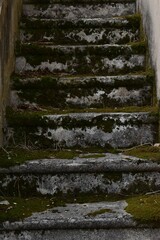Textura o fondo de escaleras con vegetación 