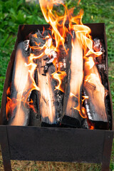 Metal brazier with burning firewood in nature against the background of green foliage on a bright summer sunny day. Bonfire with red flames. Selective focus