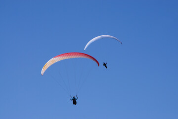 two paragliders in the blue sky