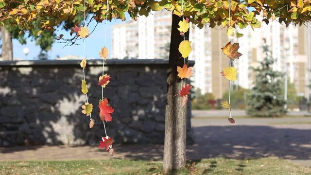 Garlands of autumn leaves sway in the wind. Nature in autumn