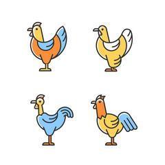 Chicken breeds RGB color icons set. Brahma hen. Transylvanian chicken. Hen and rooster. Poultry farming. Livestock husbandry. Isolated vector illustrations. Simple filled line drawings collection