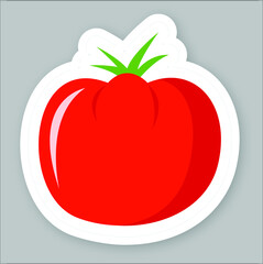 Vector illustration set of summer fruits. Stickers with contour