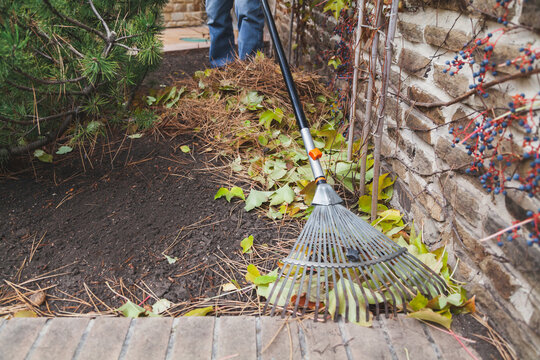 Fan rake remove fallen leaves from brick step