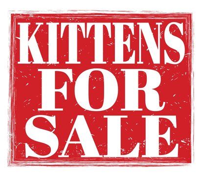 KITTENS FOR SALE, text on red stamp sign