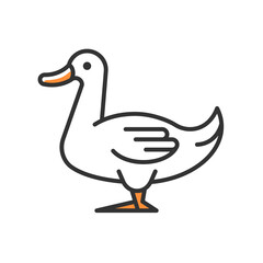 Domestic duck RGB color icon. Poultry farming industry. Domestic bird raising for meat, eggs and down. Commercial duck growing. Isolated vector illustration. Simple filled line drawing