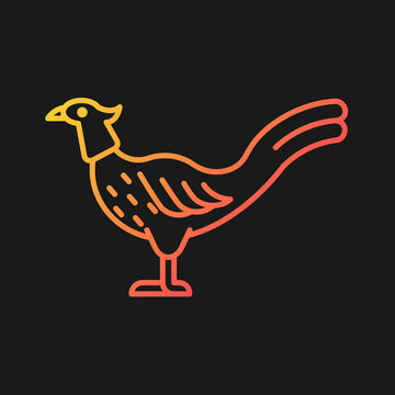 Male pheasant gradient vector icon for dark theme. Commercial poultry farming. Domestic bird raising. Feathered tail. Thin line color symbol. Modern style pictogram. Vector isolated outline drawing
