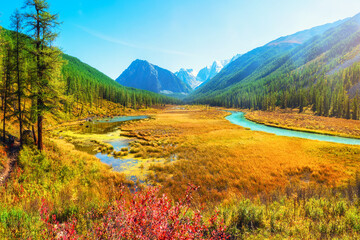 Atmospheric autumn landscape with swamp and  river in mountains. Path along the swamp. Beautiful...