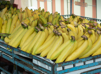 Fresh bananas are ready for sale on the fruit stalls in the market.