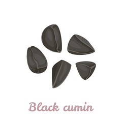 Black cumin seeds isolated on white background. Vector cartoon flat illustration. Food icon.