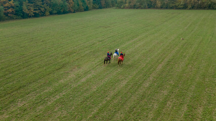 Aerial view of group of fox hunters on the horses in the autumn field. Equestrian riding sport in a countryside.