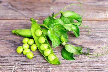 Fresh pods of green peas with leaves, stems and pea flowers on a wooden background. Sweet legumes, raw organic and healthy food.