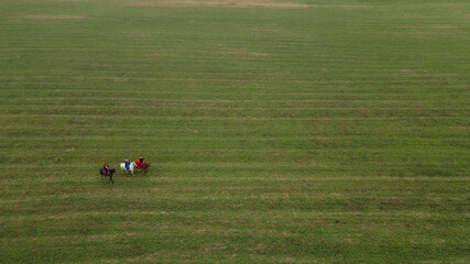 Aerial view of group of fox hunters on the horses in the autumn field. Equestrian riding sport in a...