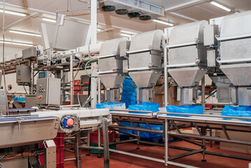 Conveyor Belt Food.The meat factory. Chicken fillet production line . Factory for the production of food from meat.Modern poultry processing plant.