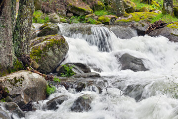 Rio Iruelas. Sierra de Gredos. Avila. España. Europa