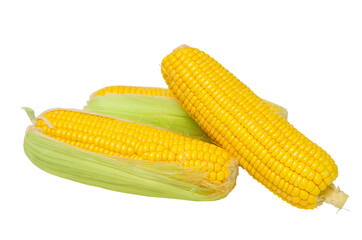 Three cobs of corn isolated