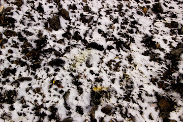 black and white texture