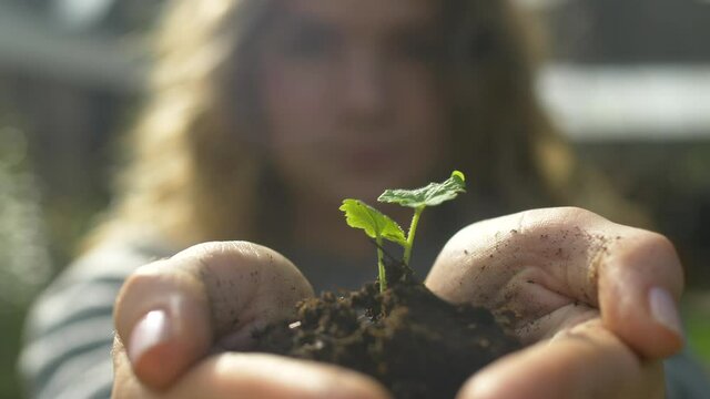 Handful of Soil with Young Plant Growing. Concept and symbol of growth, care, sustainability, protecting the earth, ecology and green environment. female hands