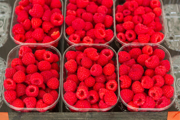 raspberries in a box on the market