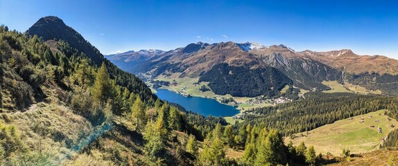 larch forest above lake davos. Panorama picture of Davos Klosters Mountains. autumn time in the...
