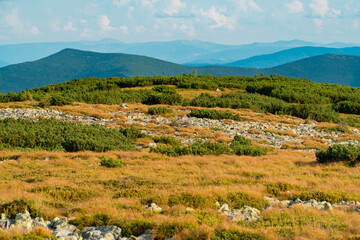 Summer mountains on a cloudy day. mountain landscape. background