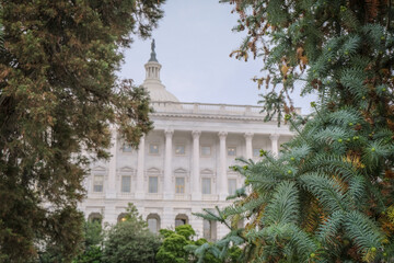Impressive historic Capitol building with dome and columns in green tree park in Washington DC, D....
