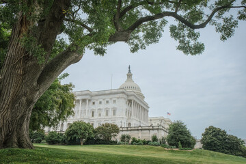 Impressive historic Capitol building with dome and columns in green tree park in Washington DC, D....