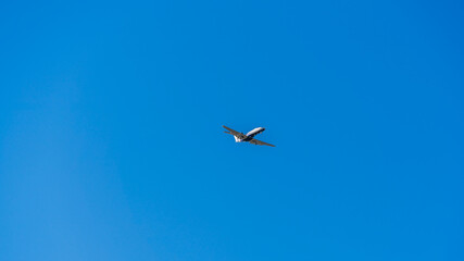 Fototapeta premium White jet plane in blue cloudless sky on a sunny day