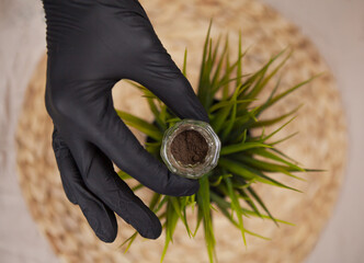 Beautician hands in gloves is pouring henna powder into glass for eyebrows coloring.