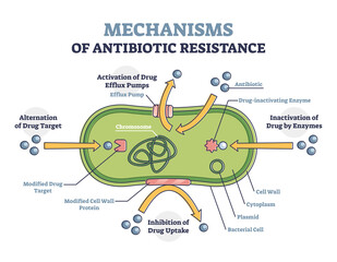 Mechanisms of antibiotic resistance outline diagram, illustrated example. Alternation of drug target, activation of drug efflux pumps, inhibition of drug uptake and inactivation of drug by enzymes.