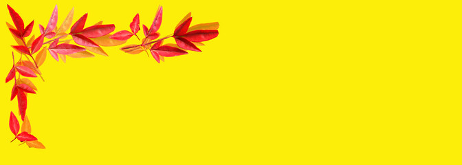 Banner foglie rosse autunnali su sfondo giallo