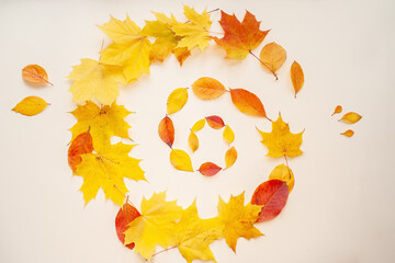 Autumn composition in the form of a whirlwind of falling orange leaves. Copy space. Flat lay, top...