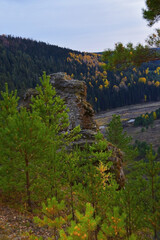 Fototapeta na wymiar A golden autumn has come in the valley of the Ural river Irgina. View from the top of the rock Vakutin Kamen.