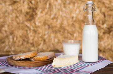 Milk bottle, slices of fresh wheat bread and brie on hay