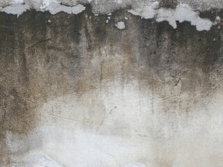 Cement wall with brown and black fungus .The wall is cracked and old dirty wall.sloppy background.abstract background with copy space.surface of the peeling object.The texture comes in many shades