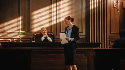 Court of Justice and Law Trial: Successful Female Public Defender Presenting the Case, Making...